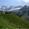 schrekhorn_2