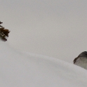 Aiguille Grive 2013