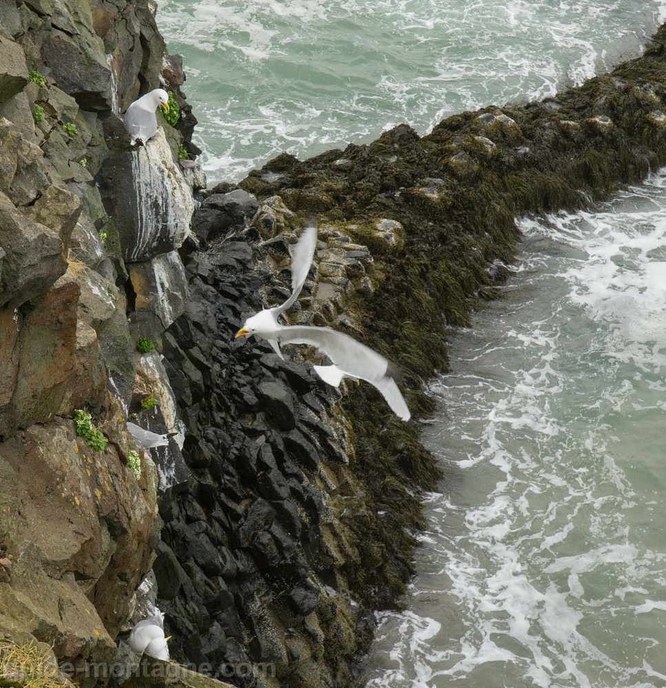 islande-10