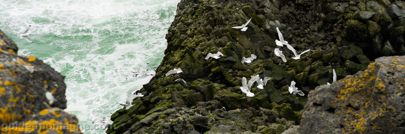 islande-13