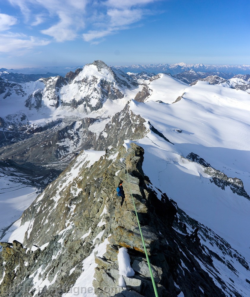 dentblanche2025_10