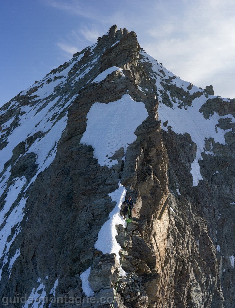 dentblanche2025_7